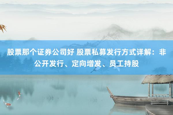 股票那个证券公司好 股票私募发行方式详解：非公开发行、定向增发、员工持股